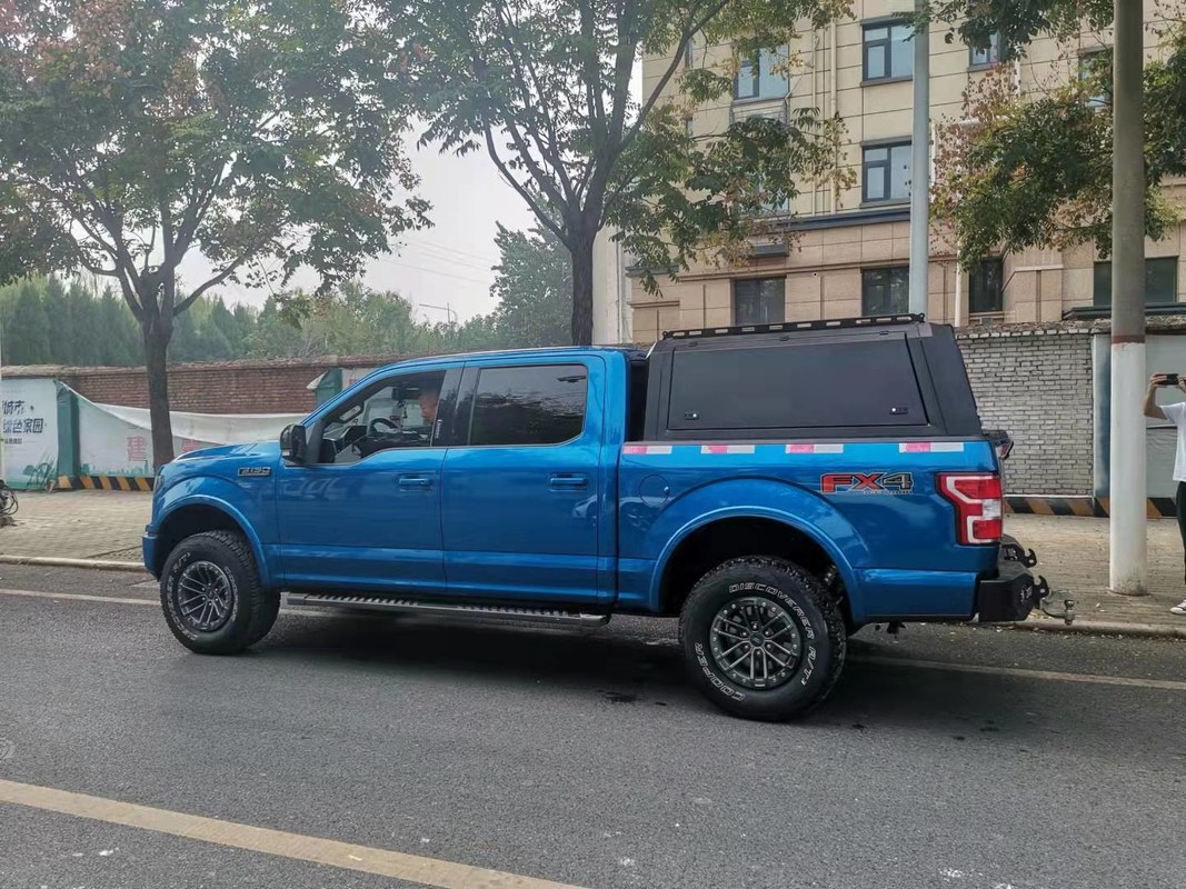 OEM Powder Coating 08-14 FORD Canopy Purple Horn Ford F150 Truck Caps